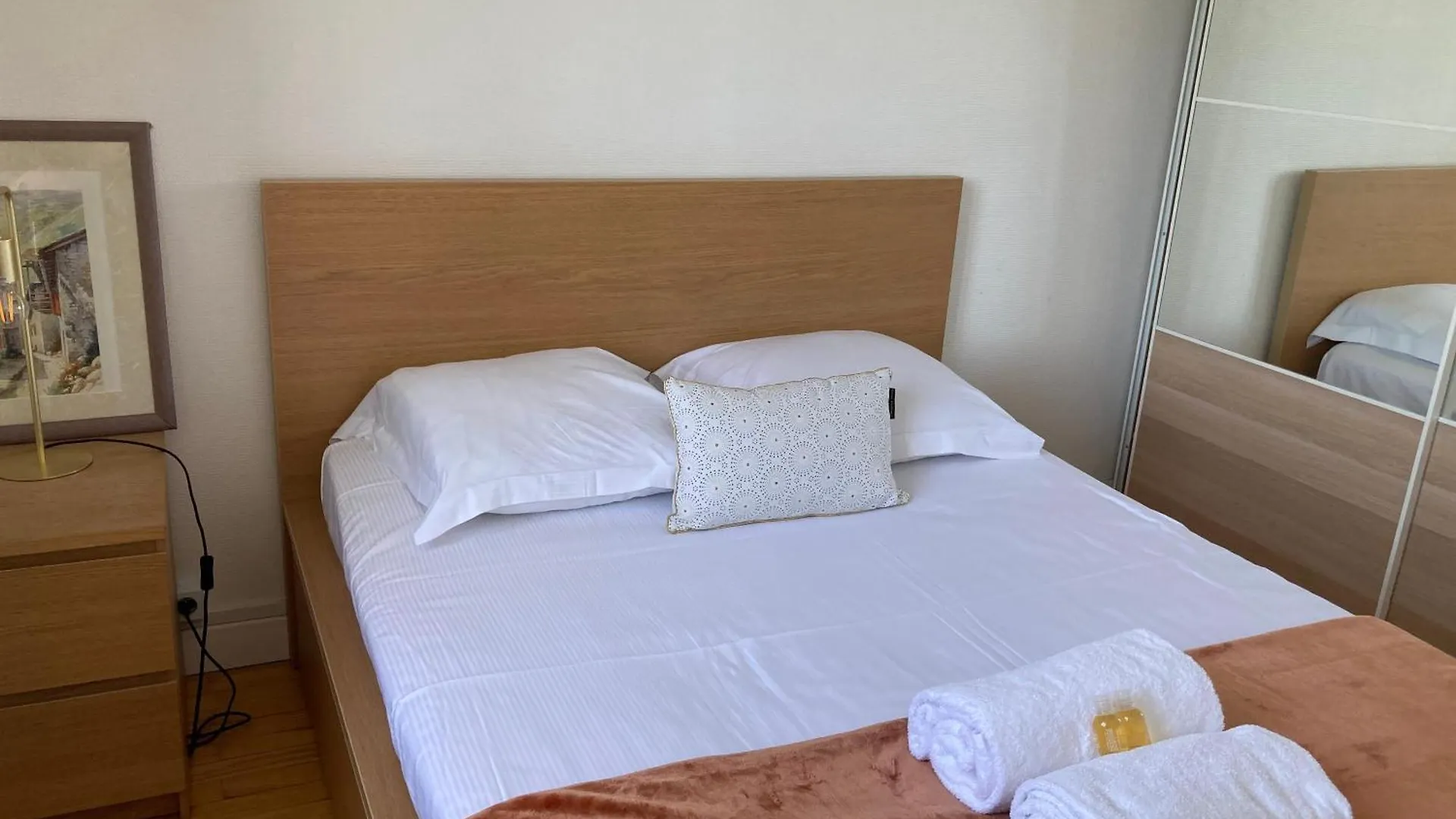 Spacieux, Lumineux Et Bien Place Pour 6Personnes, Parking Interieur Villeurbanne 0*,