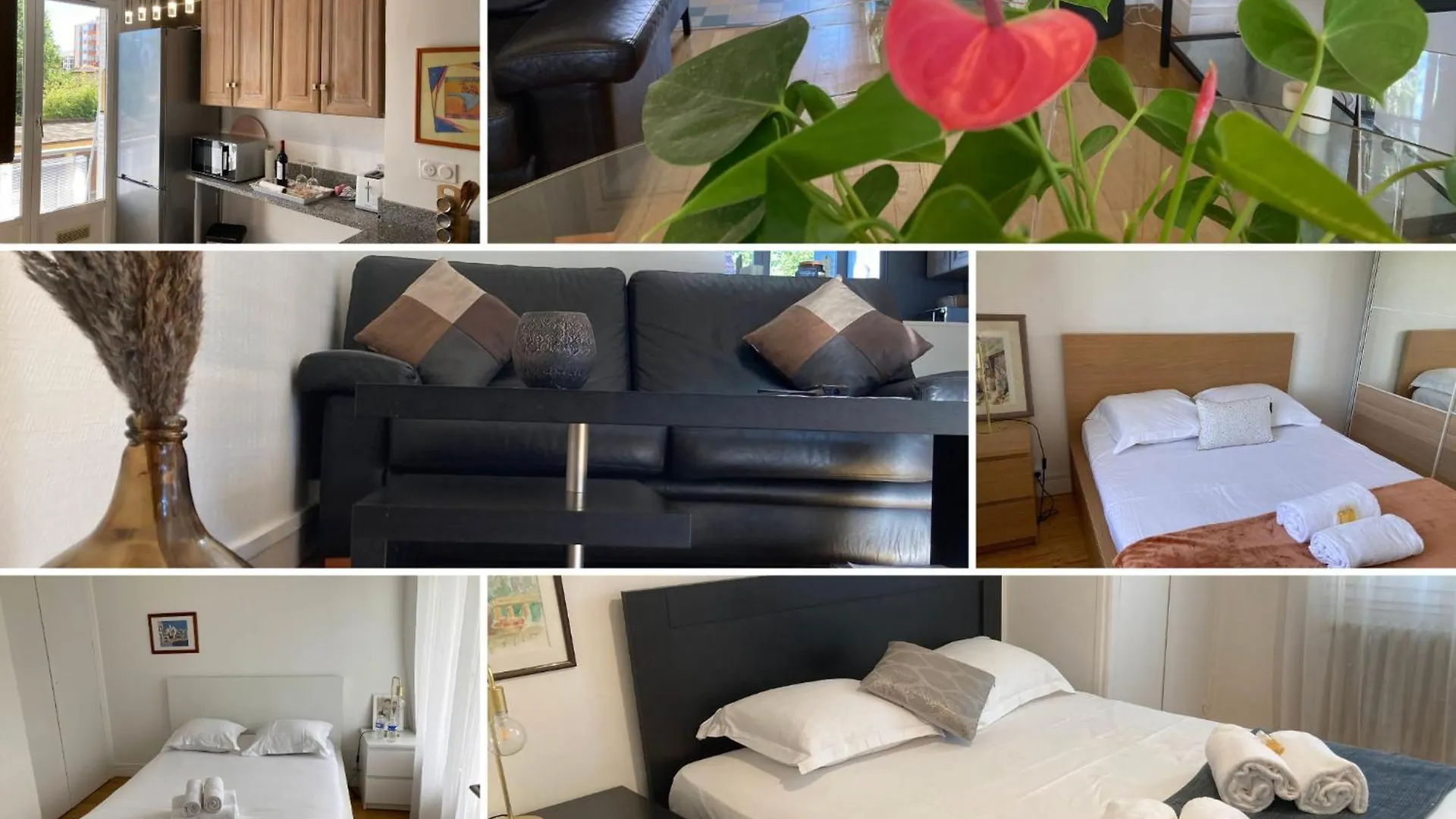 Daire Spacieux, Lumineux Et Bien Place Pour 6Personnes, Parking Interieur Villeurbanne Fransa